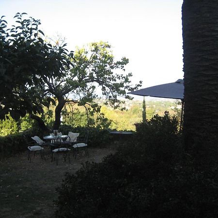 ليفورنو B&B Villa Panicucci المظهر الخارجي الصورة