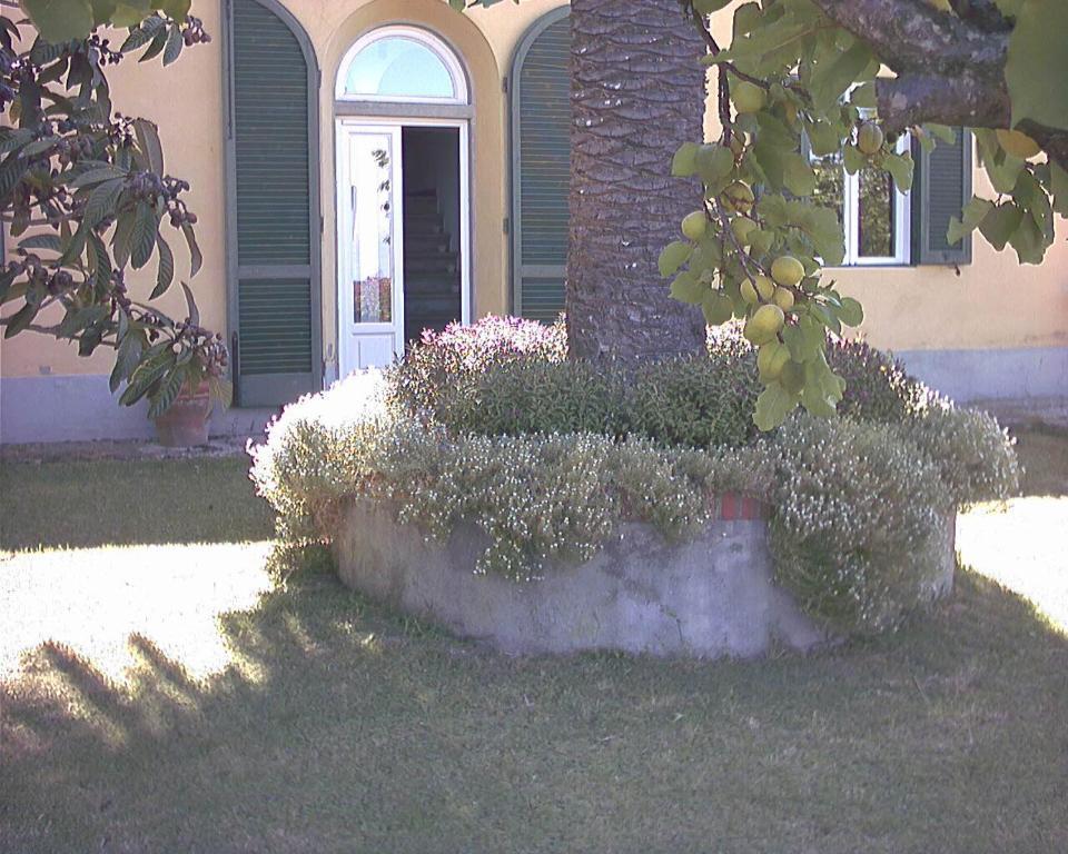 ليفورنو B&B Villa Panicucci الغرفة الصورة