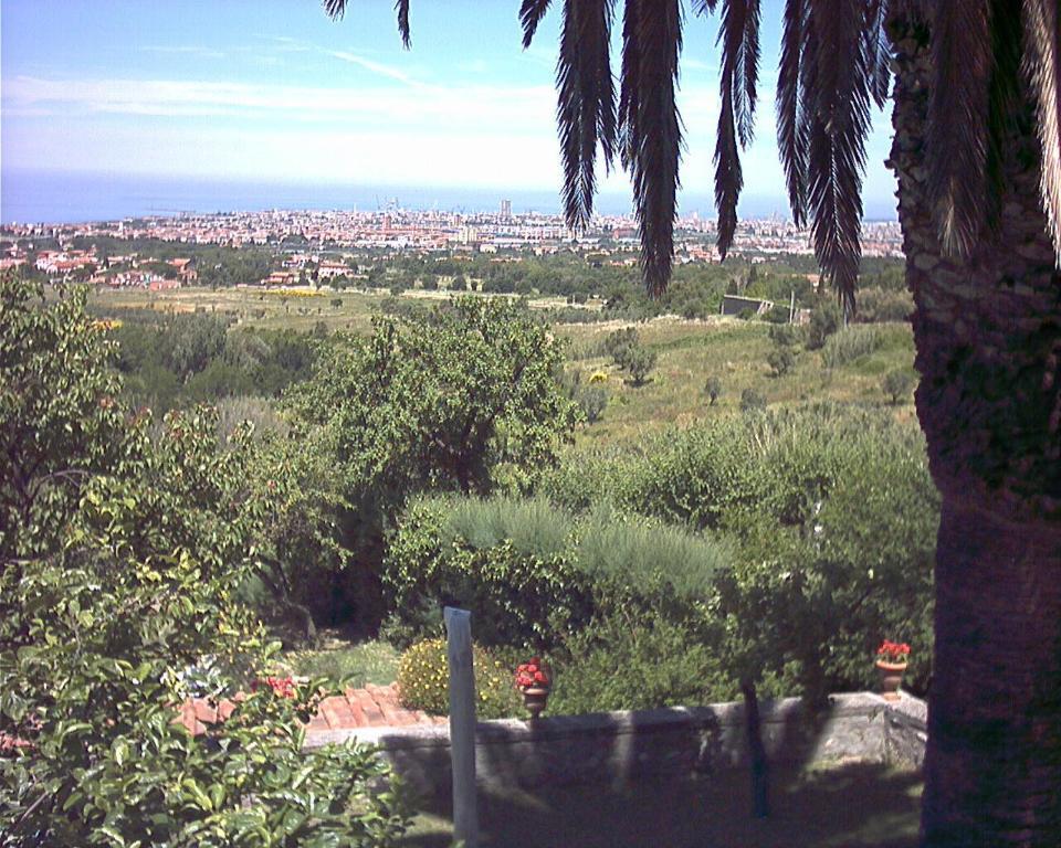 ليفورنو B&B Villa Panicucci الغرفة الصورة