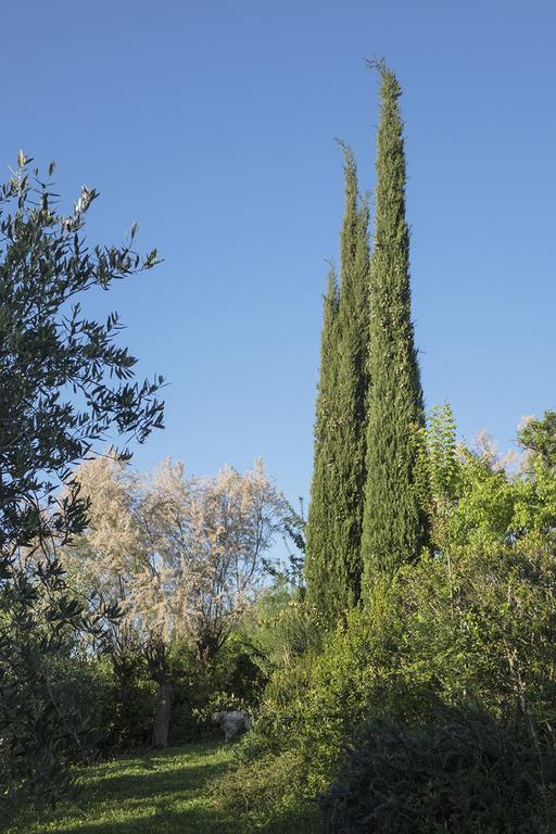 ليفورنو B&B Villa Panicucci المظهر الخارجي الصورة