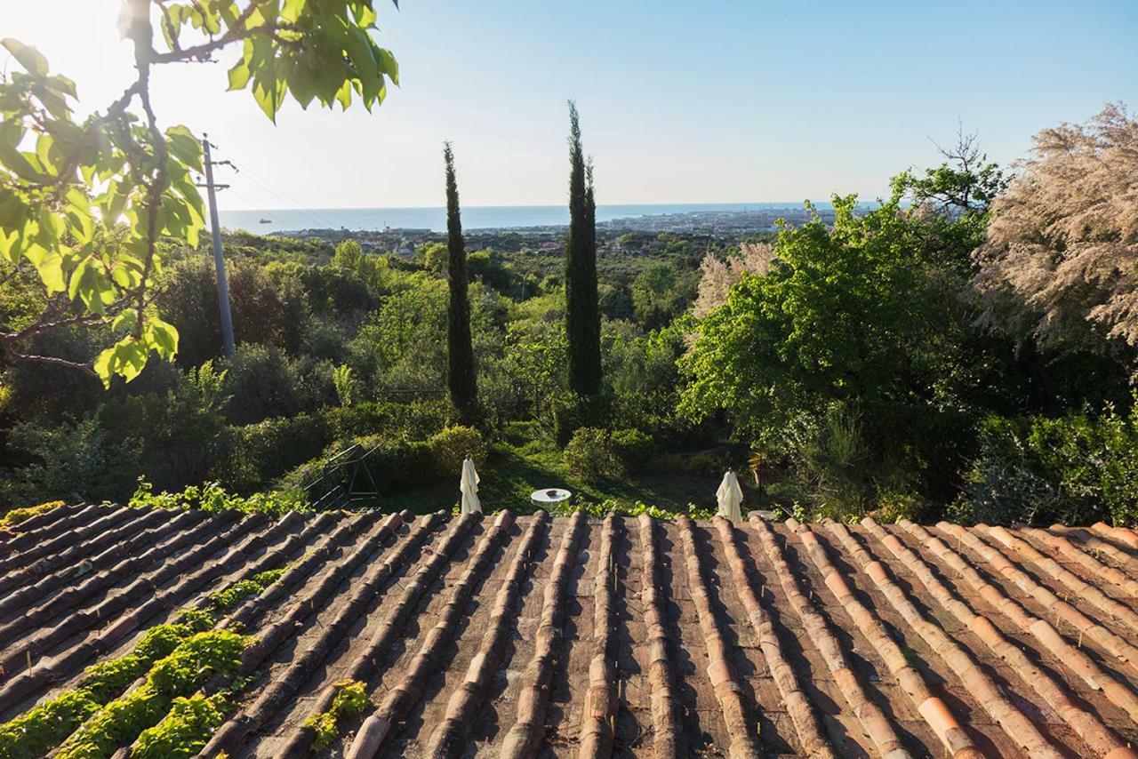 ليفورنو B&B Villa Panicucci المظهر الخارجي الصورة